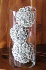 Waterlook® Birch, Pussy Willow Branches in Glass Cylinder - Distinctive  Designs