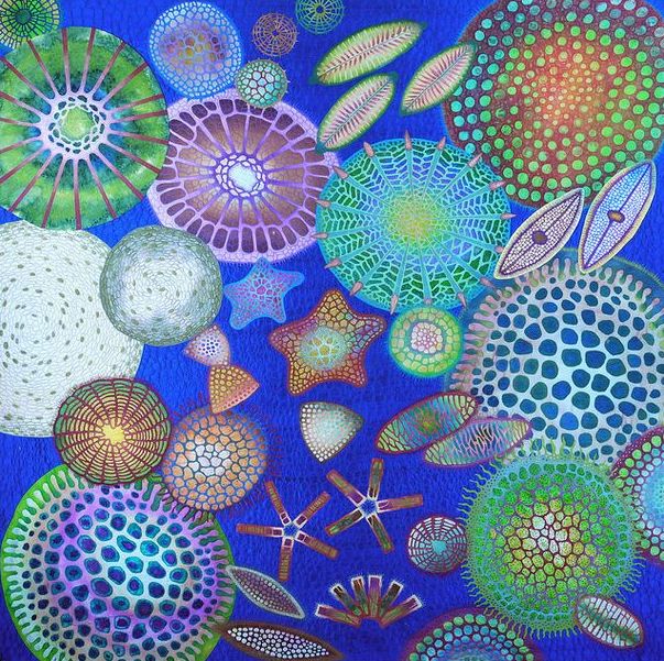 acrafty interview with betty busby quilt diatom 2