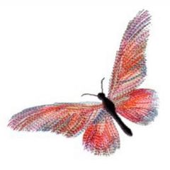 variegated floss projects - machine embroidery butterfly